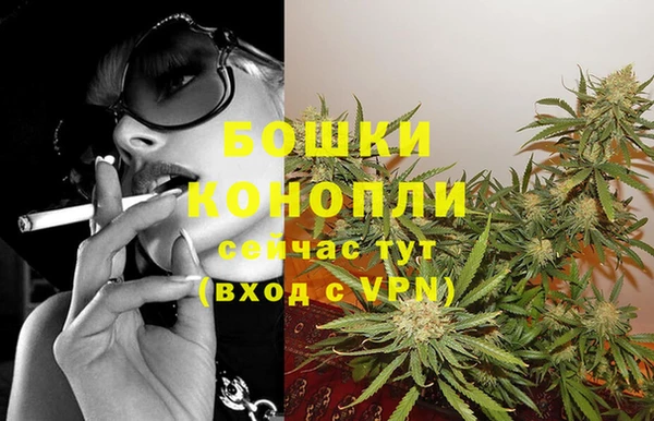 молекула духа Ладушкин