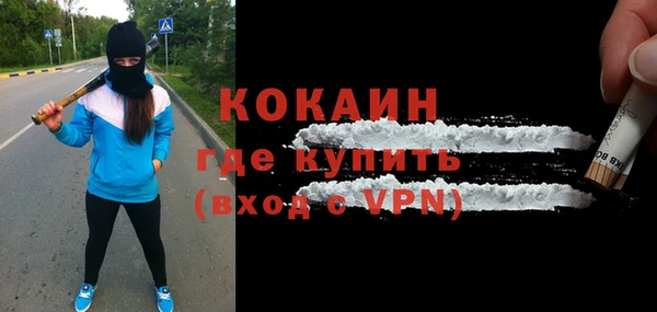 молекула духа Ладушкин