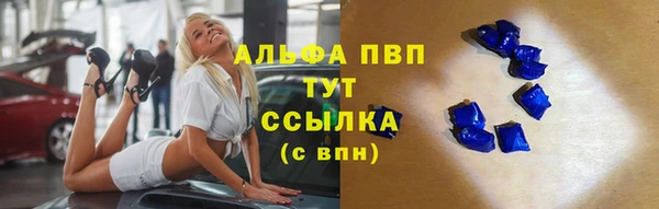 молекула духа Ладушкин
