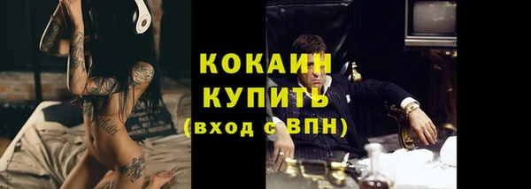 молекула духа Ладушкин