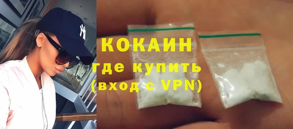 молекула духа Ладушкин