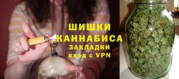 молекула духа Ладушкин